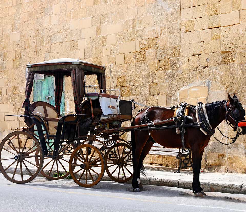 Horse Drawn Wagon Rides